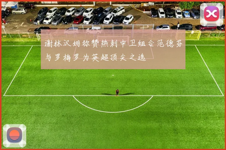 谢林汉姆称赞热刺中卫组合范德芬与罗梅罗为英超顶尖之选