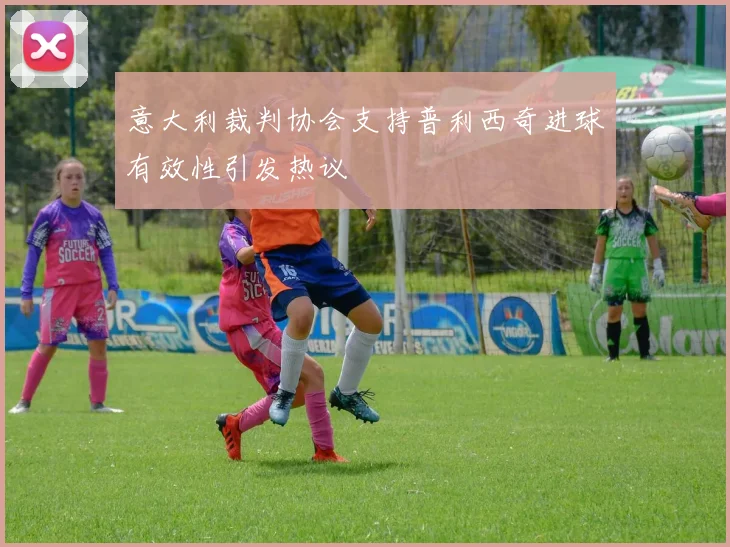 意大利裁判协会支持普利西奇进球有效性引发热议