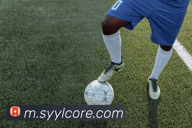 罗马诺强调法布雷加斯全心投入科莫队伍多重职责超越普通主帅角色